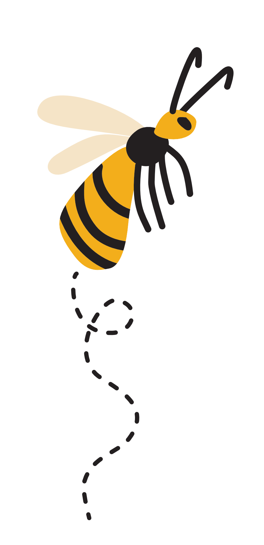 Hero image for Wild Mosaic