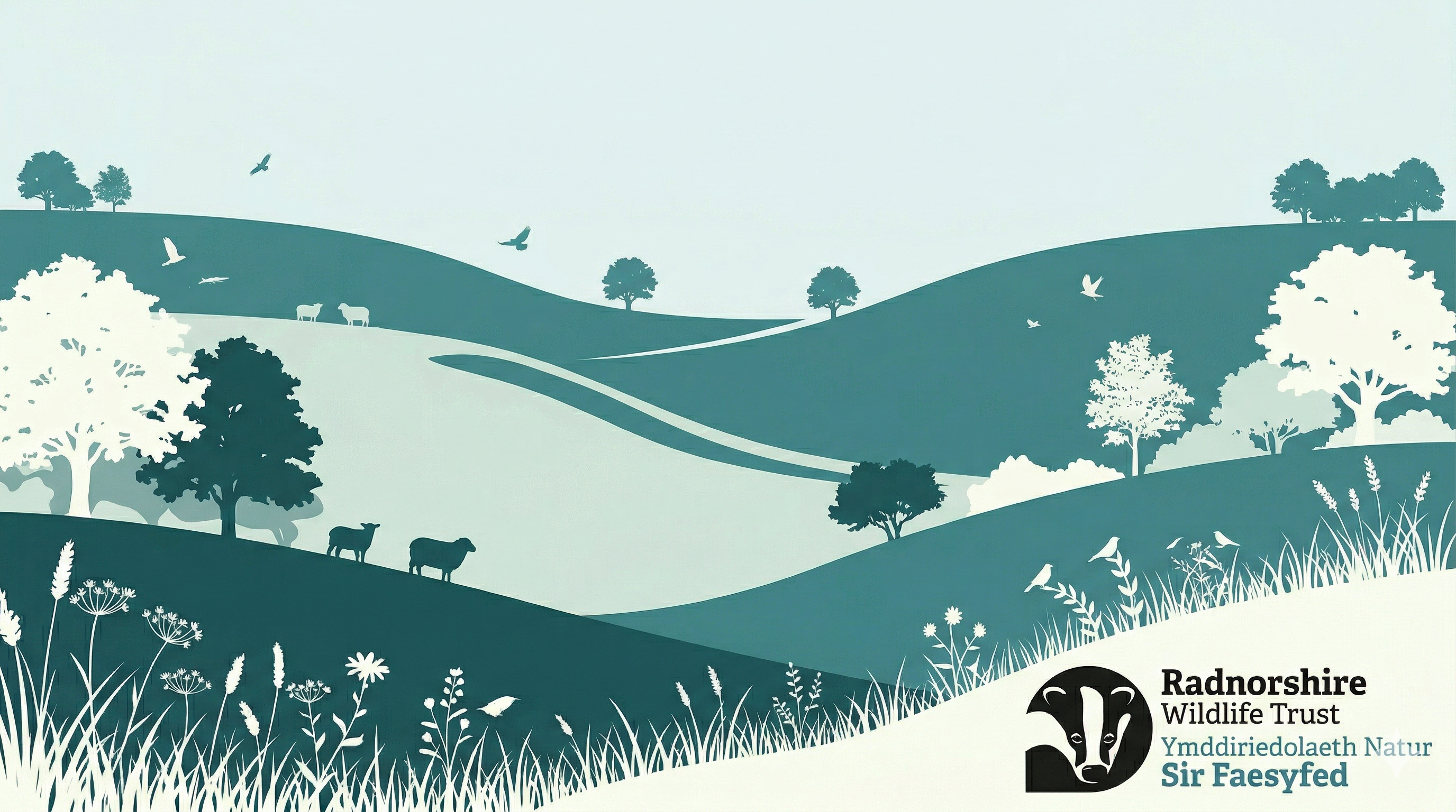 Hero image for RWT Pentwyn project