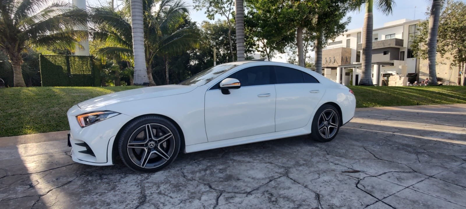 2019 Mercedes-Benz CLS 450 L6 3.0 L T