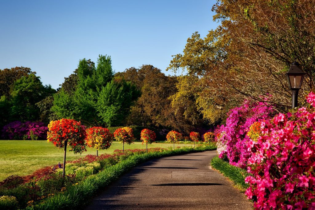 Top US National Parks to Visit