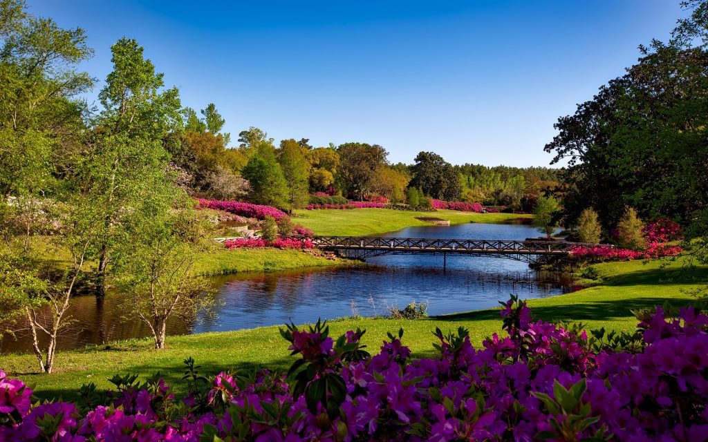Top US National Parks to Visit