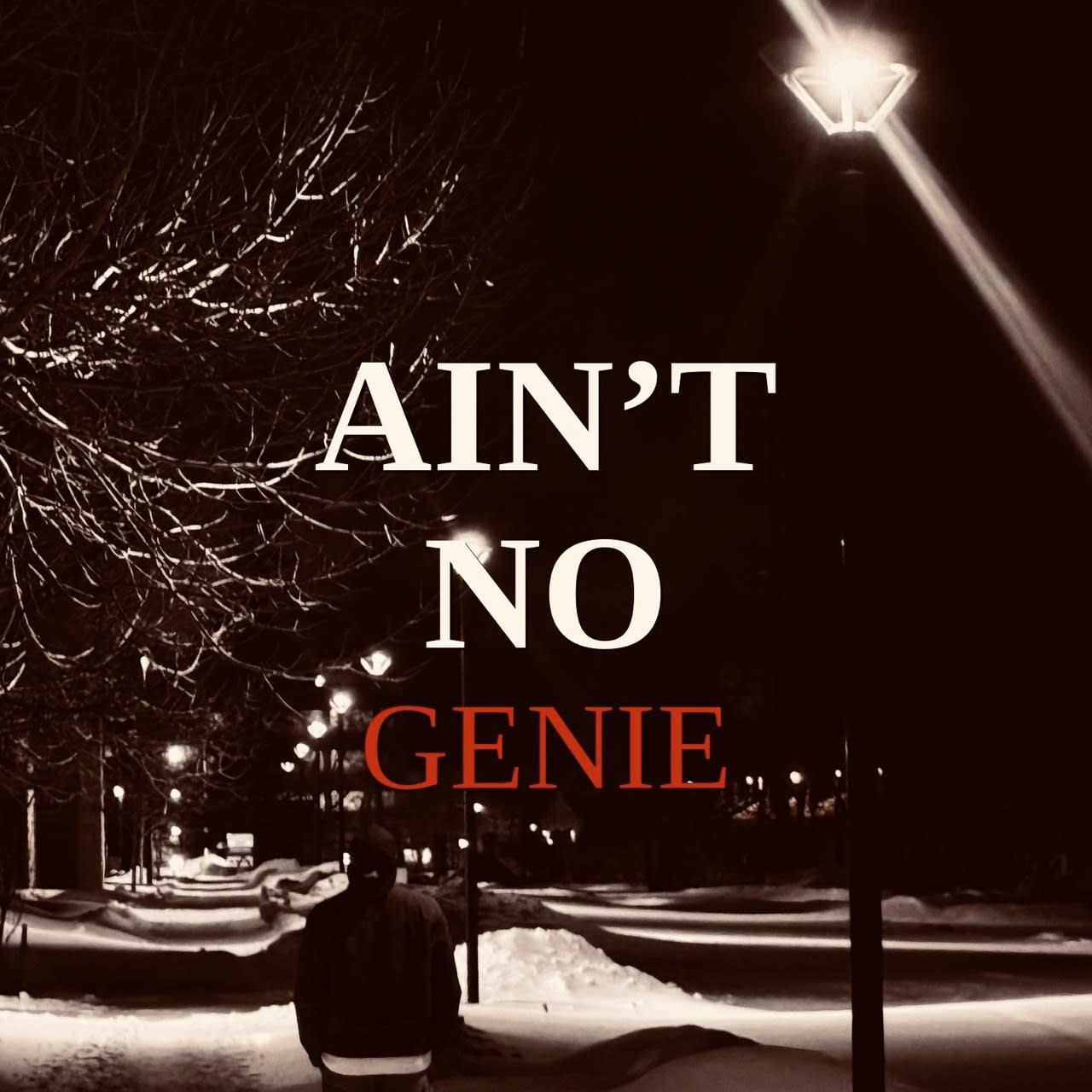 Ain't No Genie cover art