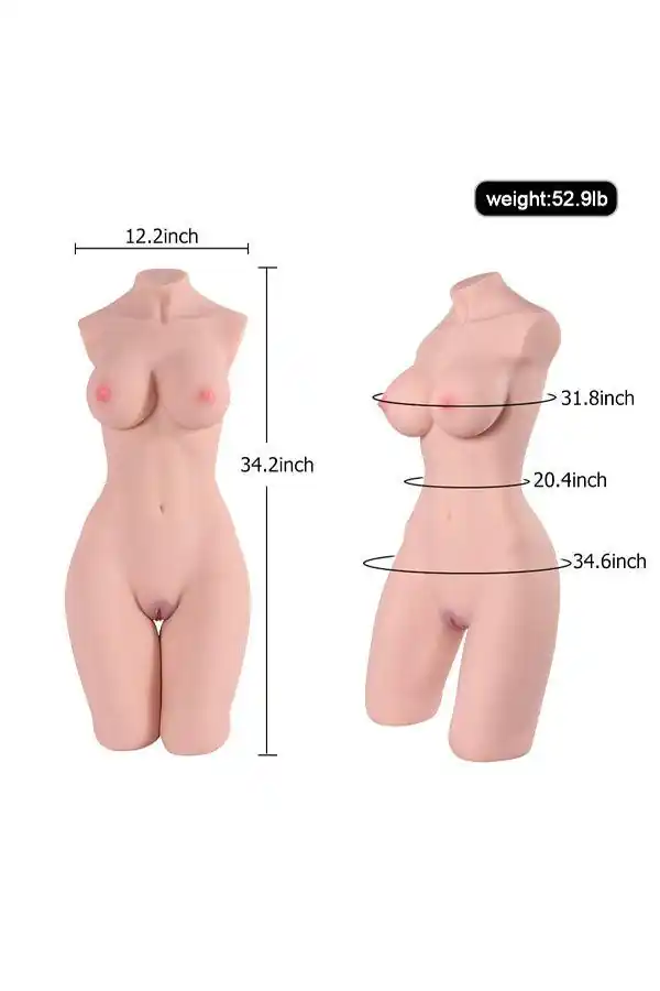 US In Stock | 52.9lb Real Female Reproductive Sex Torso - Erica