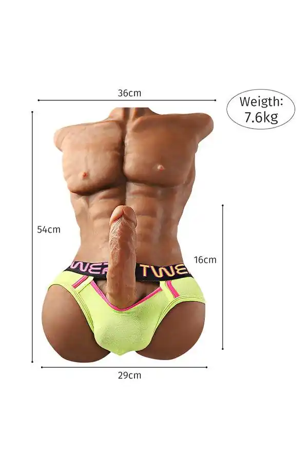 US In Stock | Male Sex Torso - Danial