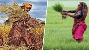 Bau Kisan Samman 2025 Held in Bihar