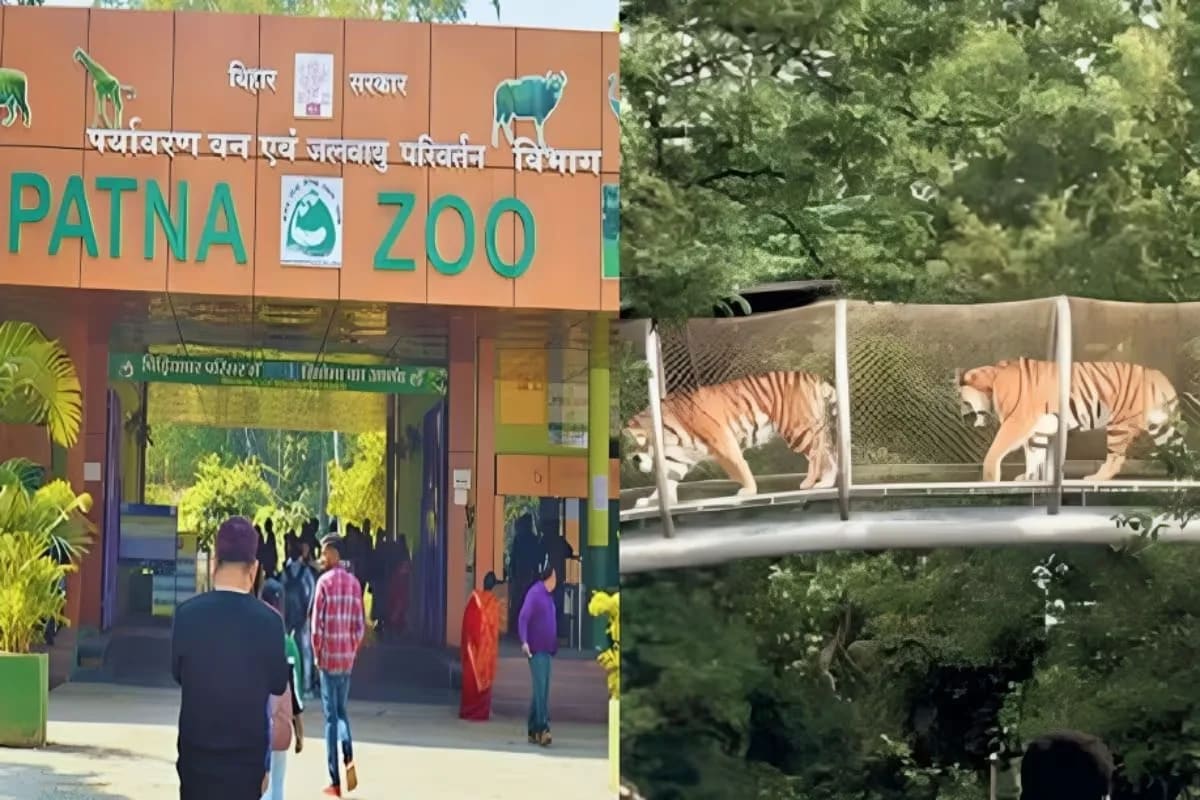 Patna Zoo to Welcome New Animals Under Exchange Programme