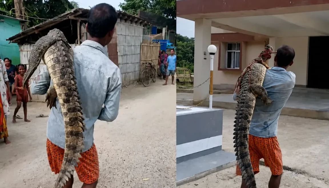 बिहार में नया कारनामा
