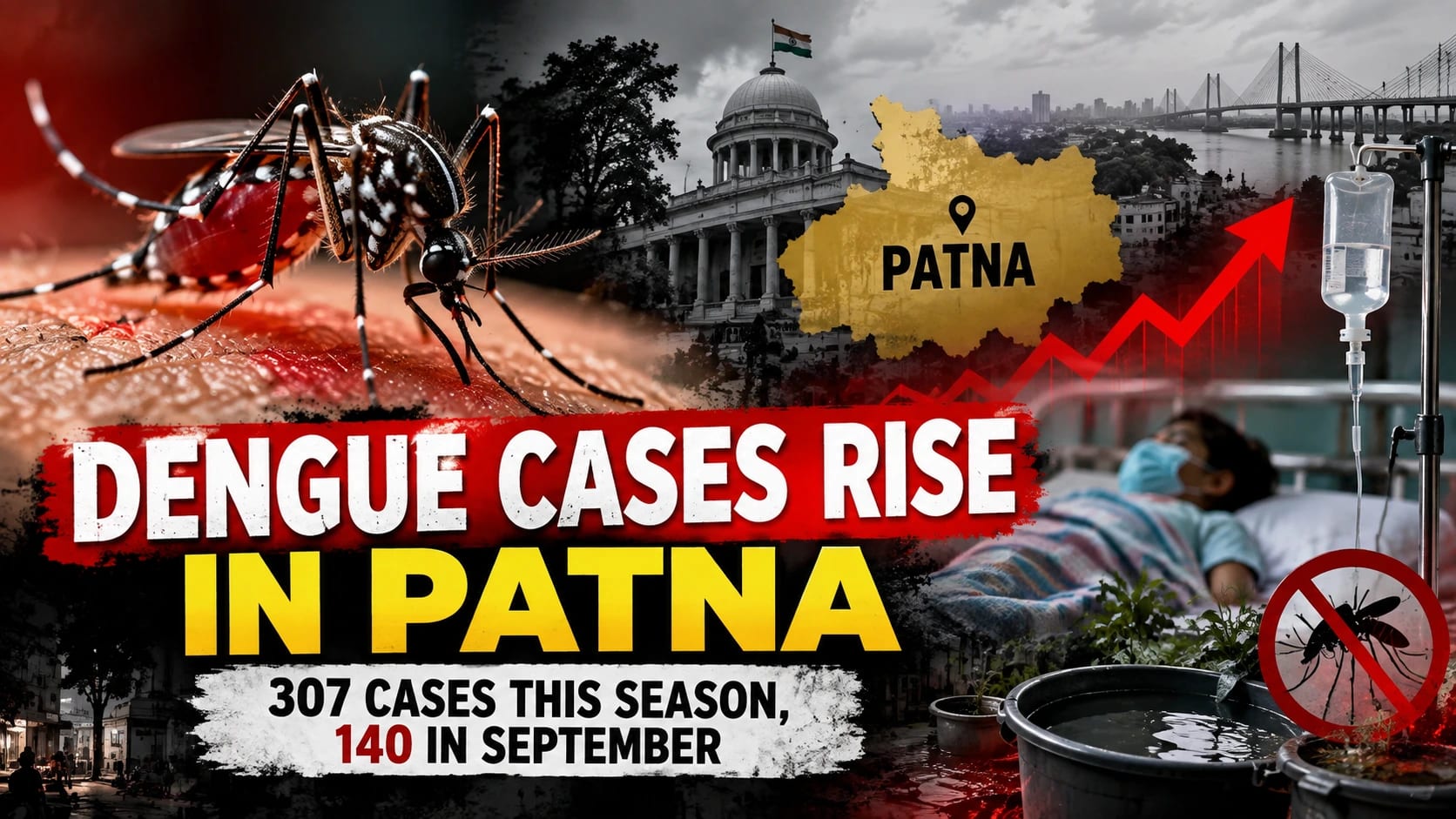 Dengue Cases Rise in Patna: 307 Cases Reported This Season, 140 in September