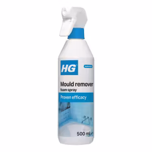 HG Mould Remover Foam Spray 500ml