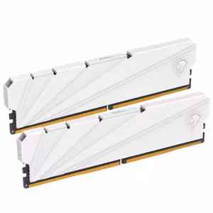 Netac 32GB (2x16GB) DDR4 3200MHz RAM Kit