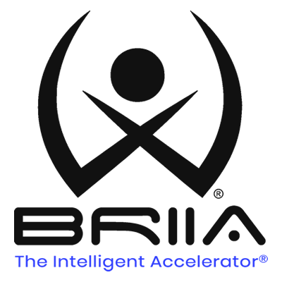 The Intelligent Accelerator - Advanced Accelerator Program - Business AI