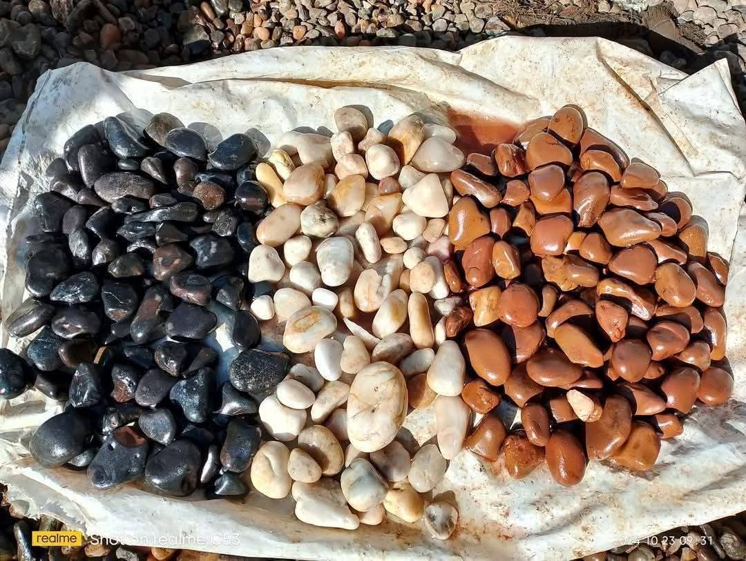 خامات الزلط الملون (River Pebbles) لمعالجة أحواض المياه