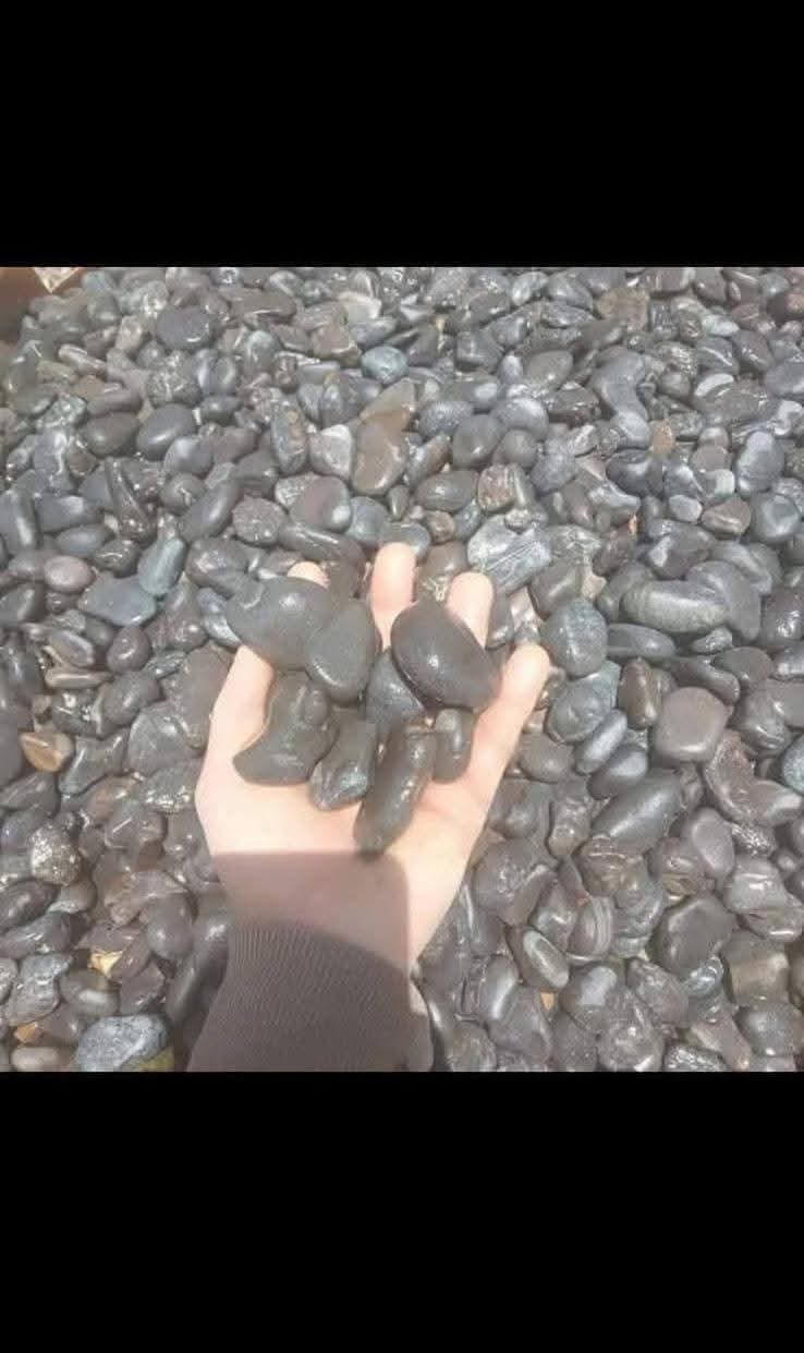 زلط بركاني أسود للاندسكيب