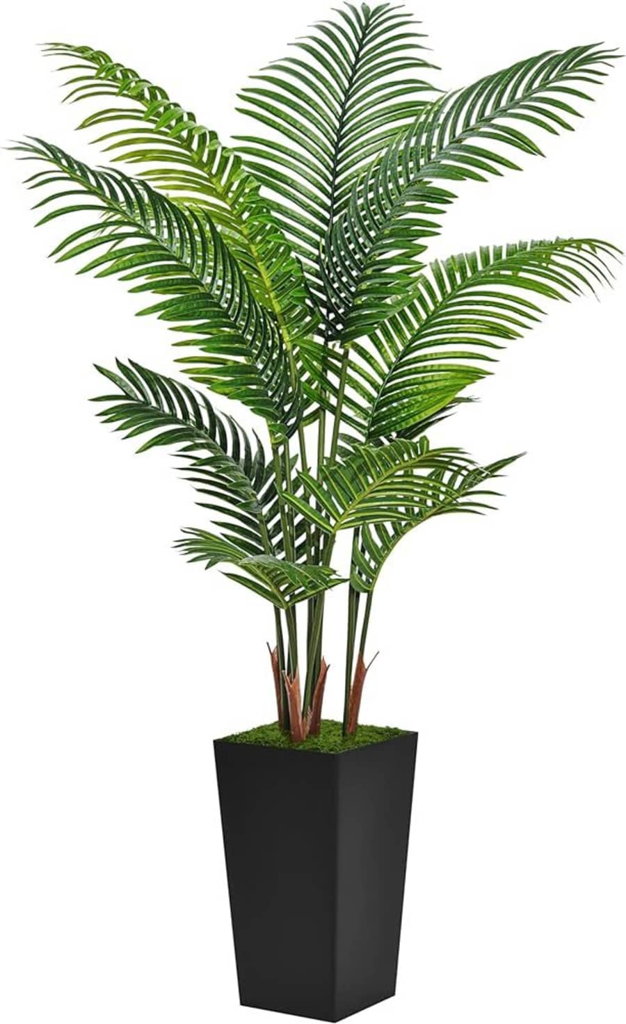 علاج واجهات الفلل