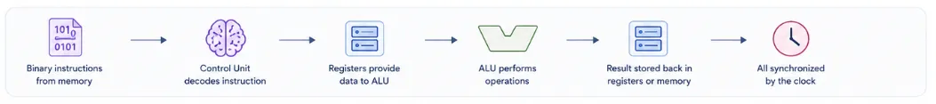 processor-organization