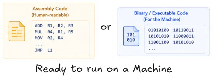 assembly-or-binary