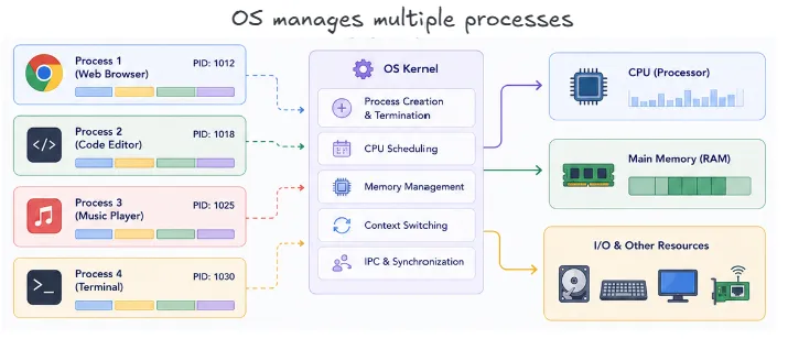 os-manages-multiple-processes