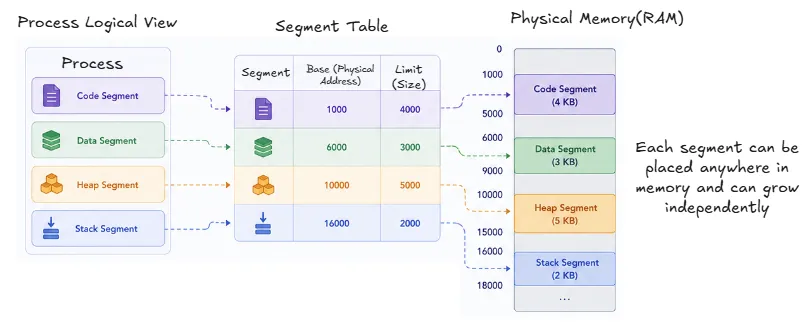 segmentation