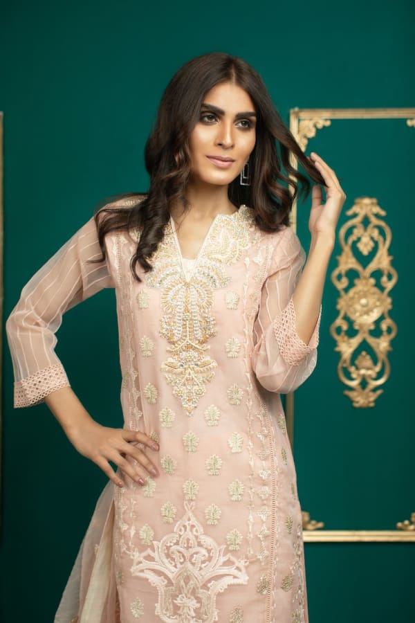 Alina C - Luxury Pakistani Party Wear with Hand Embroidery