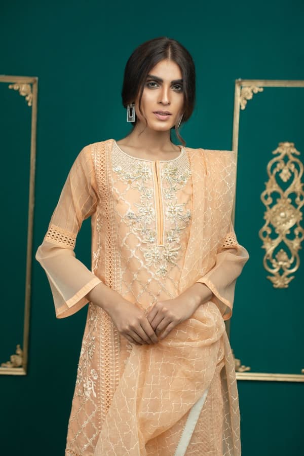 Alina D - Luxury Pakistani Party Wear with Hand Embroidery