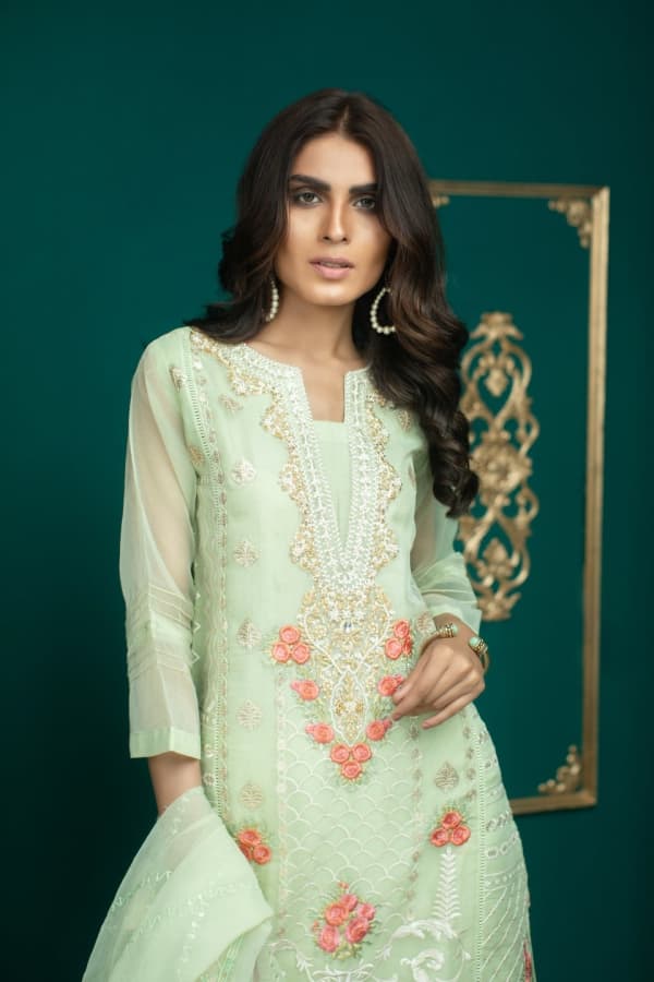 Alina m - Luxury Pakistani Party Wear with Hand Embroidery