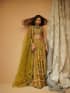 Dhani Lehenga - Luxury Pakistani Formal Dress - View 2