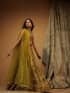 Dhani Lehenga - Luxury Pakistani Formal Dress - View 4