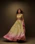 Chunri - Luxury Pakistani Formal Dress - View 4