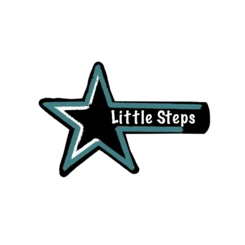 Little Steps Dance & Gymnastics Studio logo