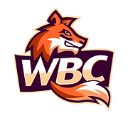 Wolves Baseball Academy & Club logo