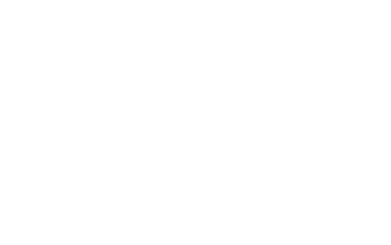 Bromley Mountain Snowsports School logo