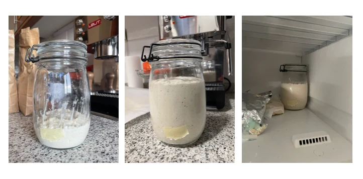 Sourdough starter — Methods to Preserve Sourdough