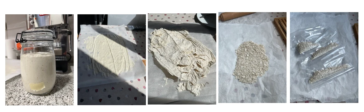 Sourdough starter — Dehydrate It