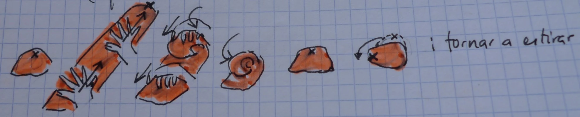 The phases of bread making — Continuous kneading