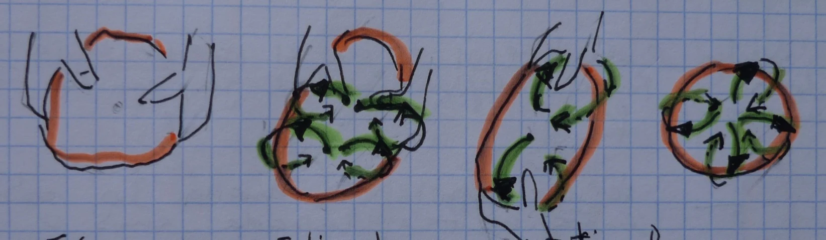 The phases of bread making — Bâtard (Xusco)