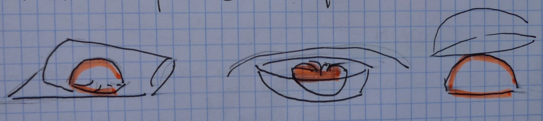 The phases of bread making — Stick / baguette shaping