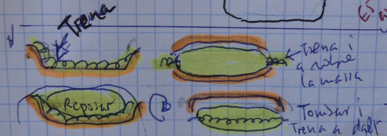 The phases of bread making — Washes and toppings