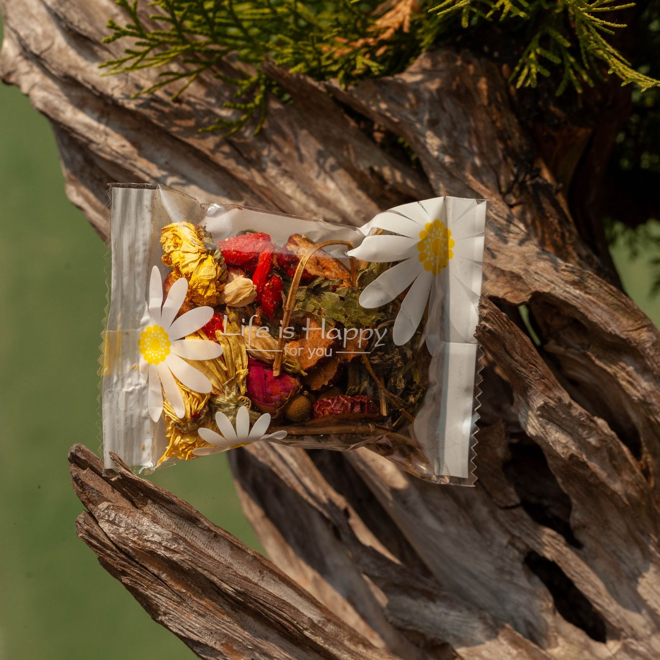 Green Tea Detox Pack