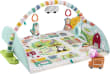Fisher-Price Activity Gym with Removable Arch