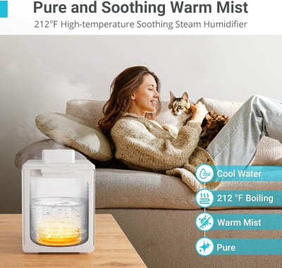 Basic Warm Mist Room Humidifier with Humidity Meter — buy on Amazon India