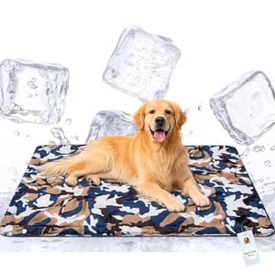 Babyhug Cool Gel Cooling Mat for Babies (Small) — buy on Amazon India
