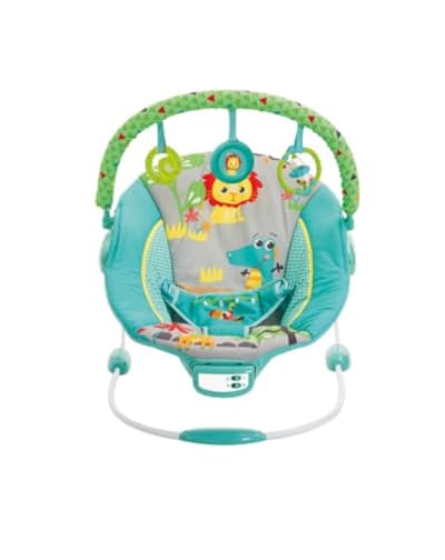 Mastela Newborn to Toddler Rocker — buy on Amazon India