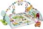Fisher-Price Activity Gym with Removable Arch