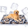 Babyhug Cool Gel Cooling Mat for Babies (Small)