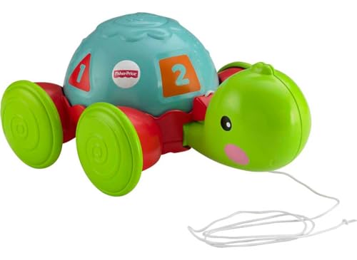 Fisher Price India Pull-Along Duck Toy
