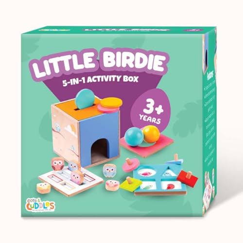Toyshine Wooden Activity Cube