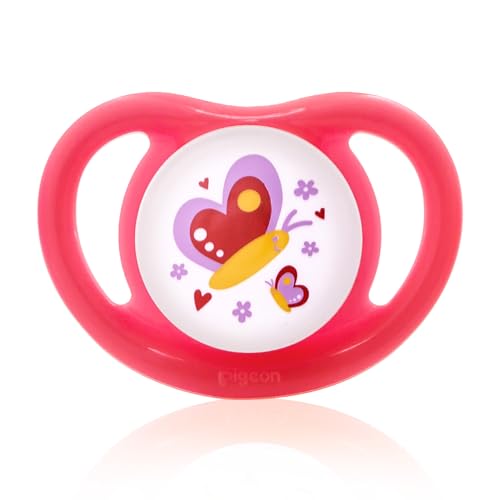 Pigeon Silicone Teether Pacifier
