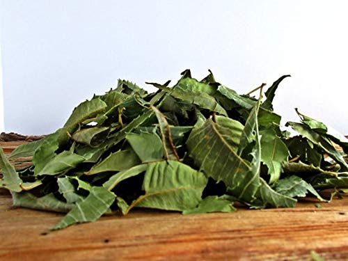 Organic Neem Dried Leaves Bundle (500g) - Natural Moth Repellent