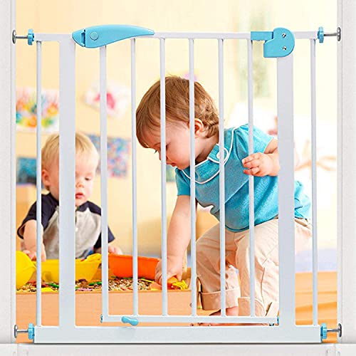 R for Rabbit Safety Gate