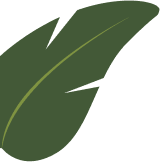 Thẩm mỹ riêng biệt